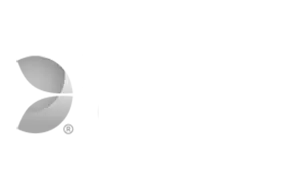 Evolution-Gaming